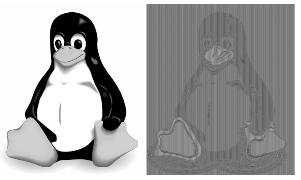 ECB and Tux